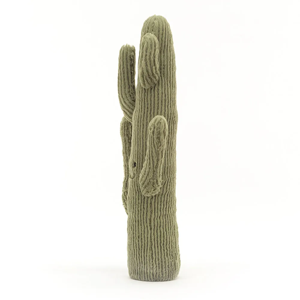 Amuseable Desert Cactus