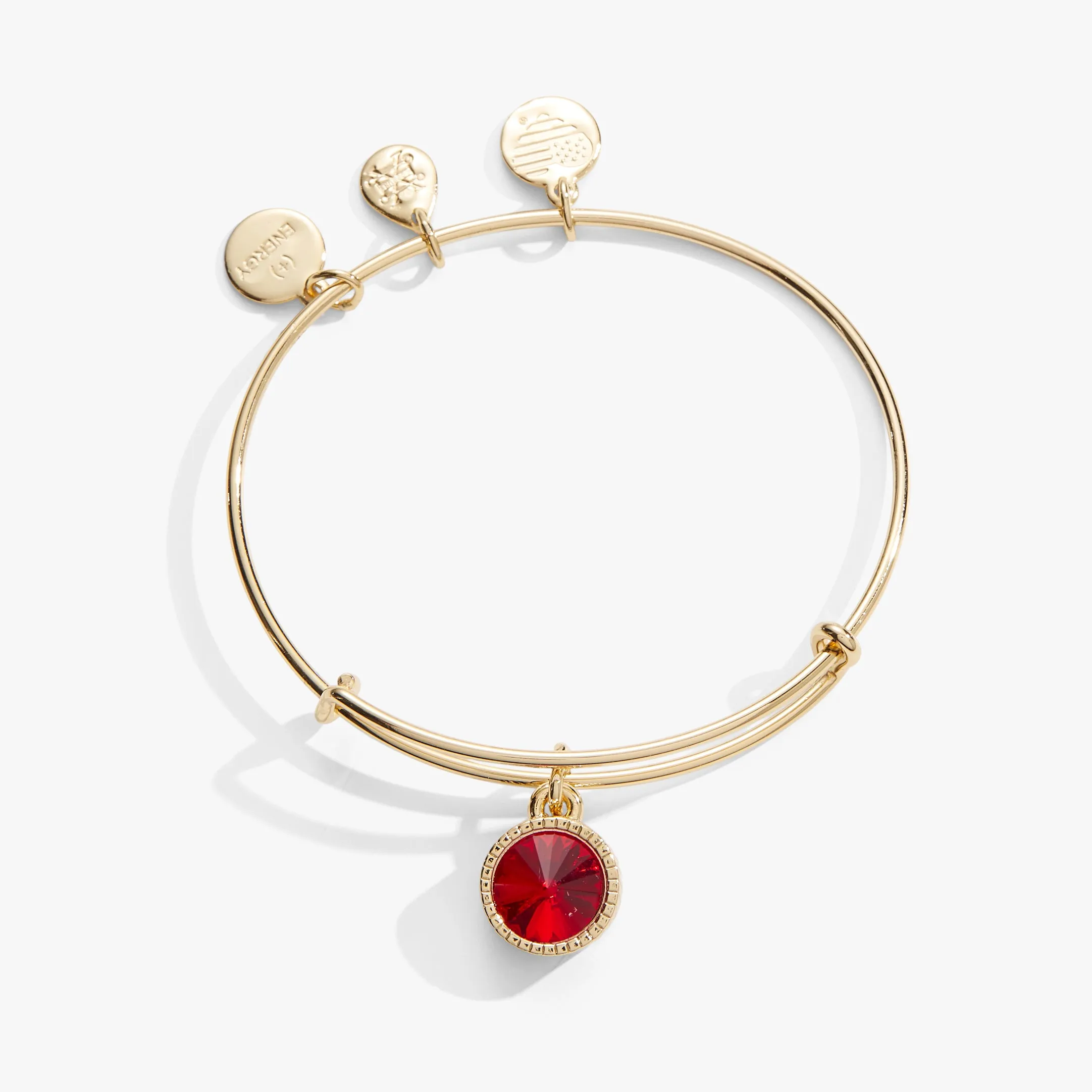 July Birthstone Charm Bangle, Ruby