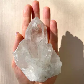 Quartz Crystal 2 SS01